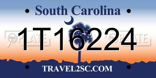 1T16224 South Carolina License Plate