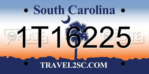 1T16225 South Carolina License Plate