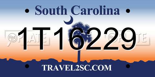 1T16229 South Carolina License Plate