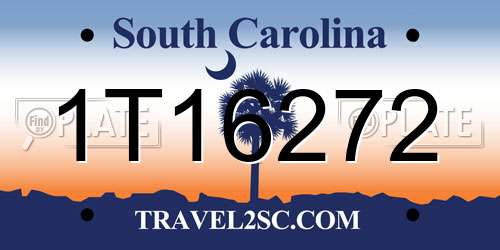 1T16272 South Carolina License Plate