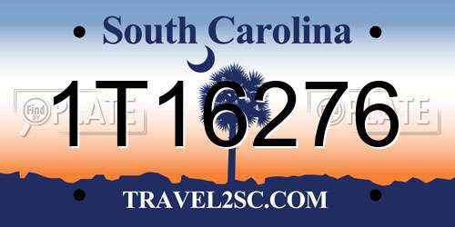 1T16276 South Carolina License Plate