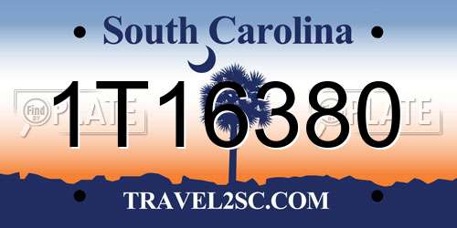 1T16380 South Carolina License Plate