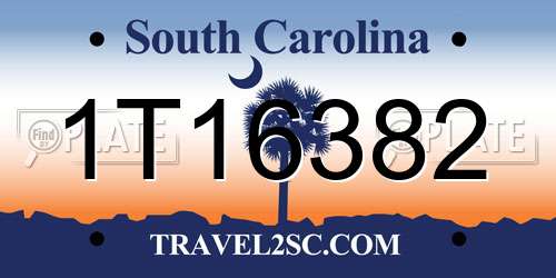 1T16382 South Carolina License Plate