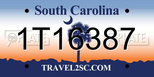 1T16387 South Carolina License Plate