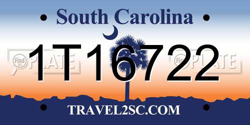 1T16722 South Carolina License Plate