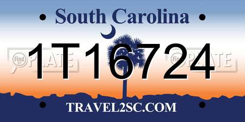 1T16724 South Carolina License Plate