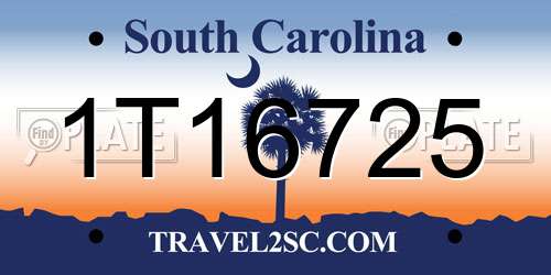 1T16725 South Carolina License Plate