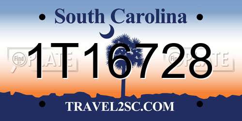 1T16728 South Carolina License Plate