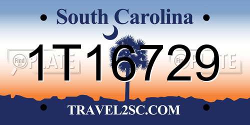 1T16729 South Carolina License Plate