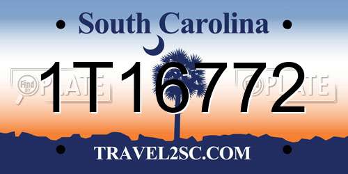1T16772 South Carolina License Plate