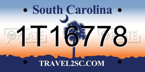 1T16778 South Carolina License Plate