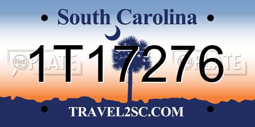 1T17276 South Carolina License Plate