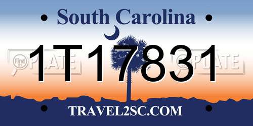1T17831 South Carolina License Plate