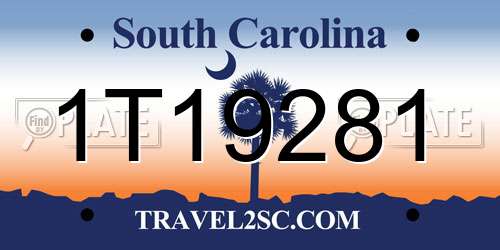 1T19281 South Carolina License Plate