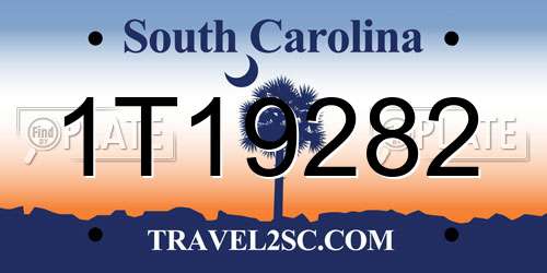 1T19282 South Carolina License Plate