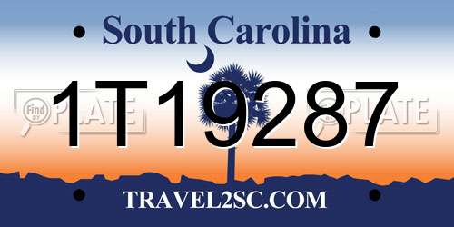 1T19287 South Carolina License Plate