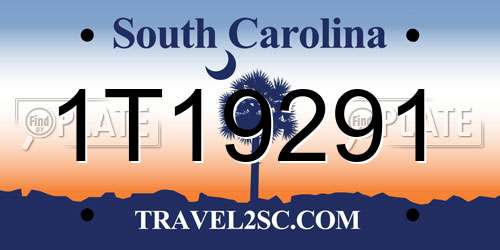 1T19291 South Carolina License Plate