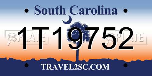 1T19752 South Carolina License Plate
