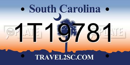 1T19781 South Carolina License Plate