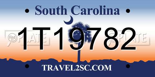 1T19782 South Carolina License Plate