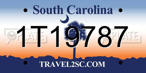 1T19787 South Carolina License Plate