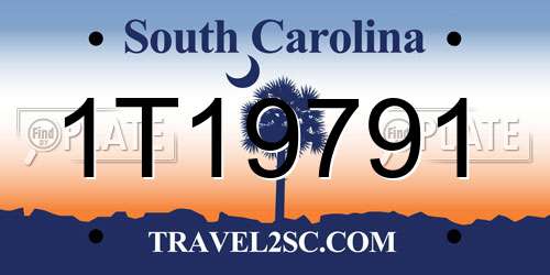 1T19791 South Carolina License Plate