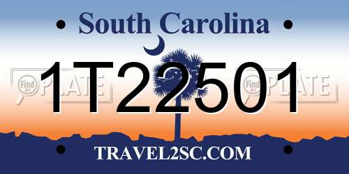 1T22501 South Carolina License Plate
