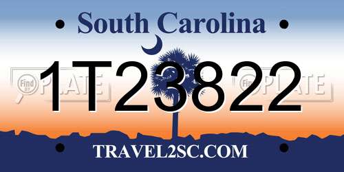 1T23822 South Carolina License Plate