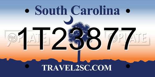 1T23877 South Carolina License Plate