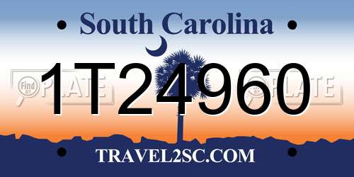 1T24960 South Carolina License Plate