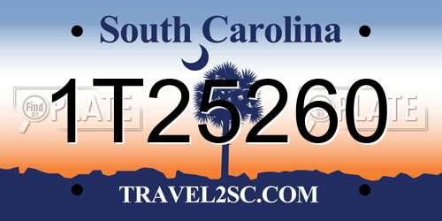 1T25260 South Carolina License Plate