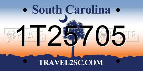 1T25705 South Carolina License Plate