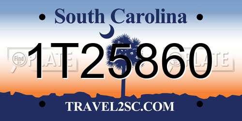 1T25860 South Carolina License Plate