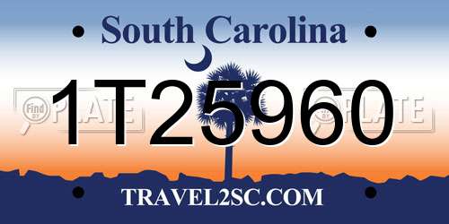 1T25960 South Carolina License Plate
