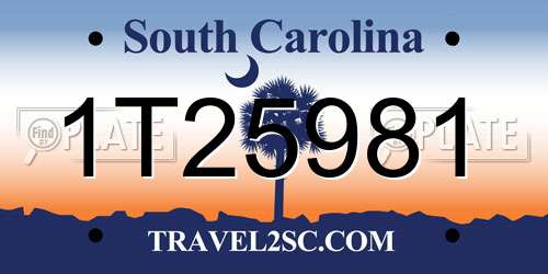 1T25981 South Carolina License Plate