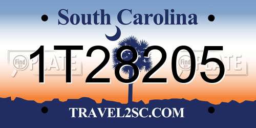 1T28205 South Carolina License Plate