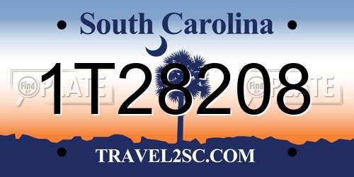 1T28208 South Carolina License Plate