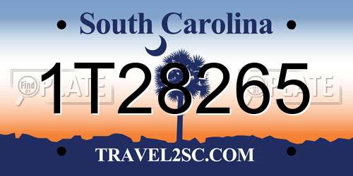 1T28265 South Carolina License Plate