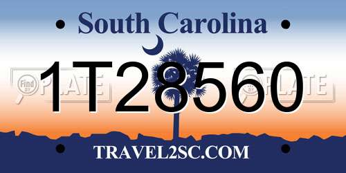1T28560 South Carolina License Plate