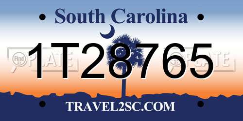1T28765 South Carolina License Plate