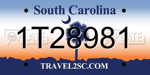 1T28981 South Carolina License Plate