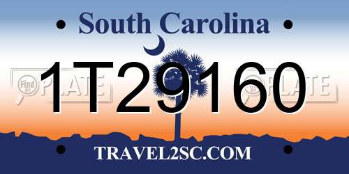 1T29160 South Carolina License Plate