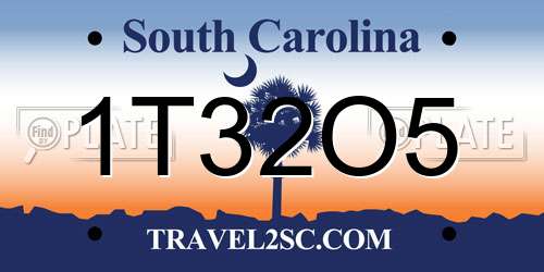 1T32O5 South Carolina License Plate