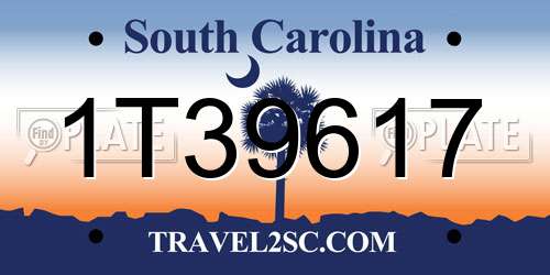 1T39617 South Carolina License Plate