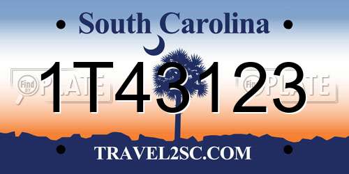 1T43123 South Carolina License Plate