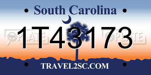 1T43173 South Carolina License Plate