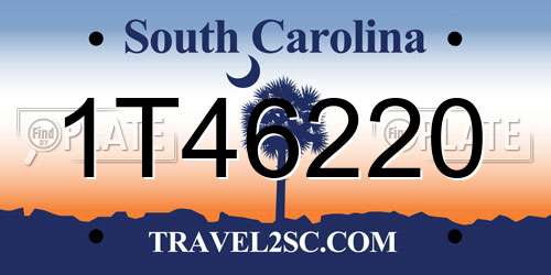 1T46220 South Carolina License Plate