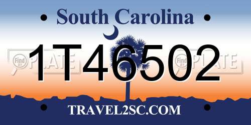 1T46502 South Carolina License Plate