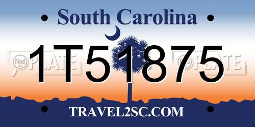 1T51875 South Carolina License Plate