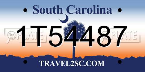 1T54487 South Carolina License Plate